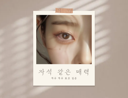 자석같은 매력