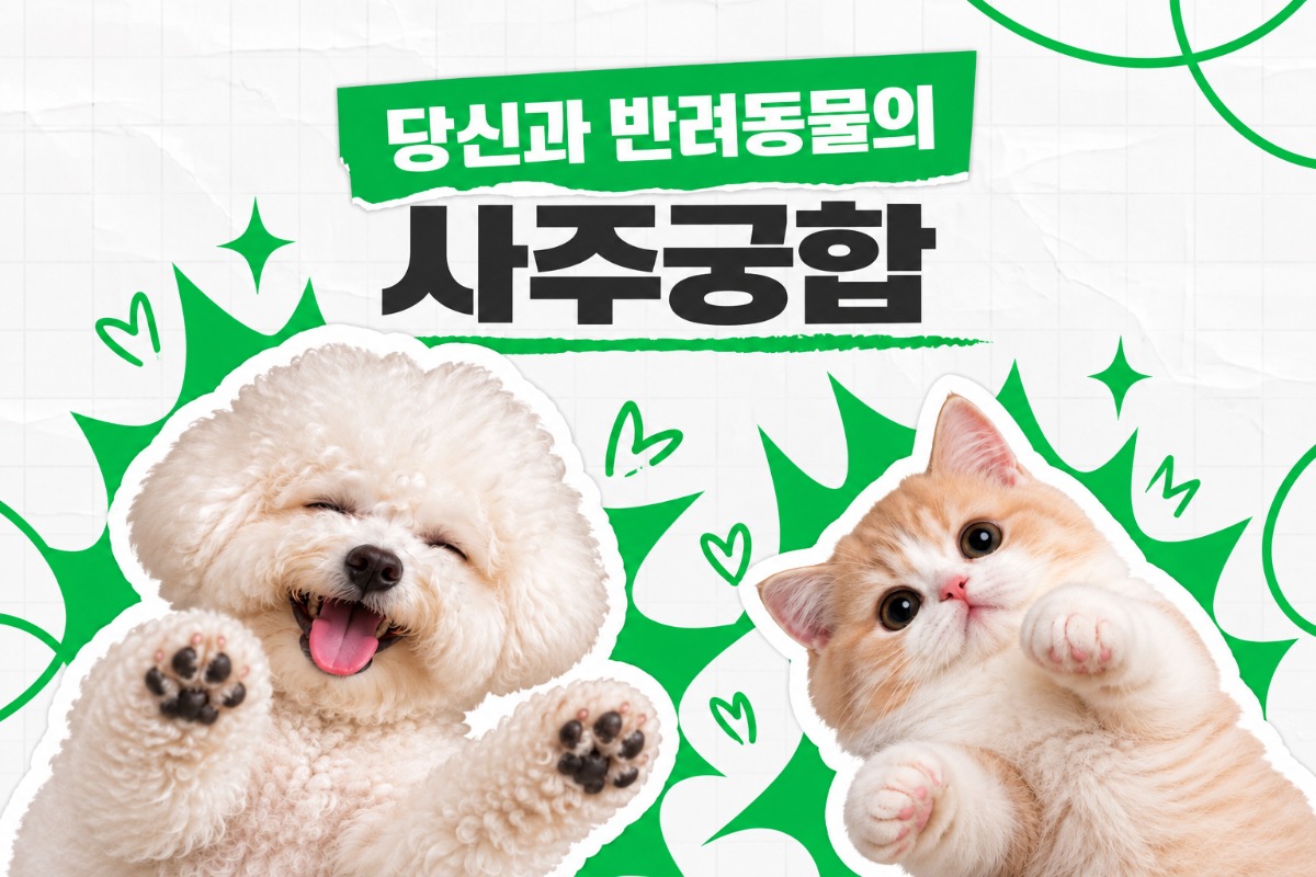 나와 반려동물 궁합