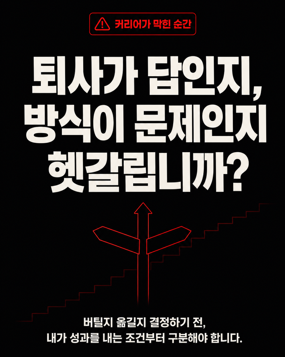 직업 운세