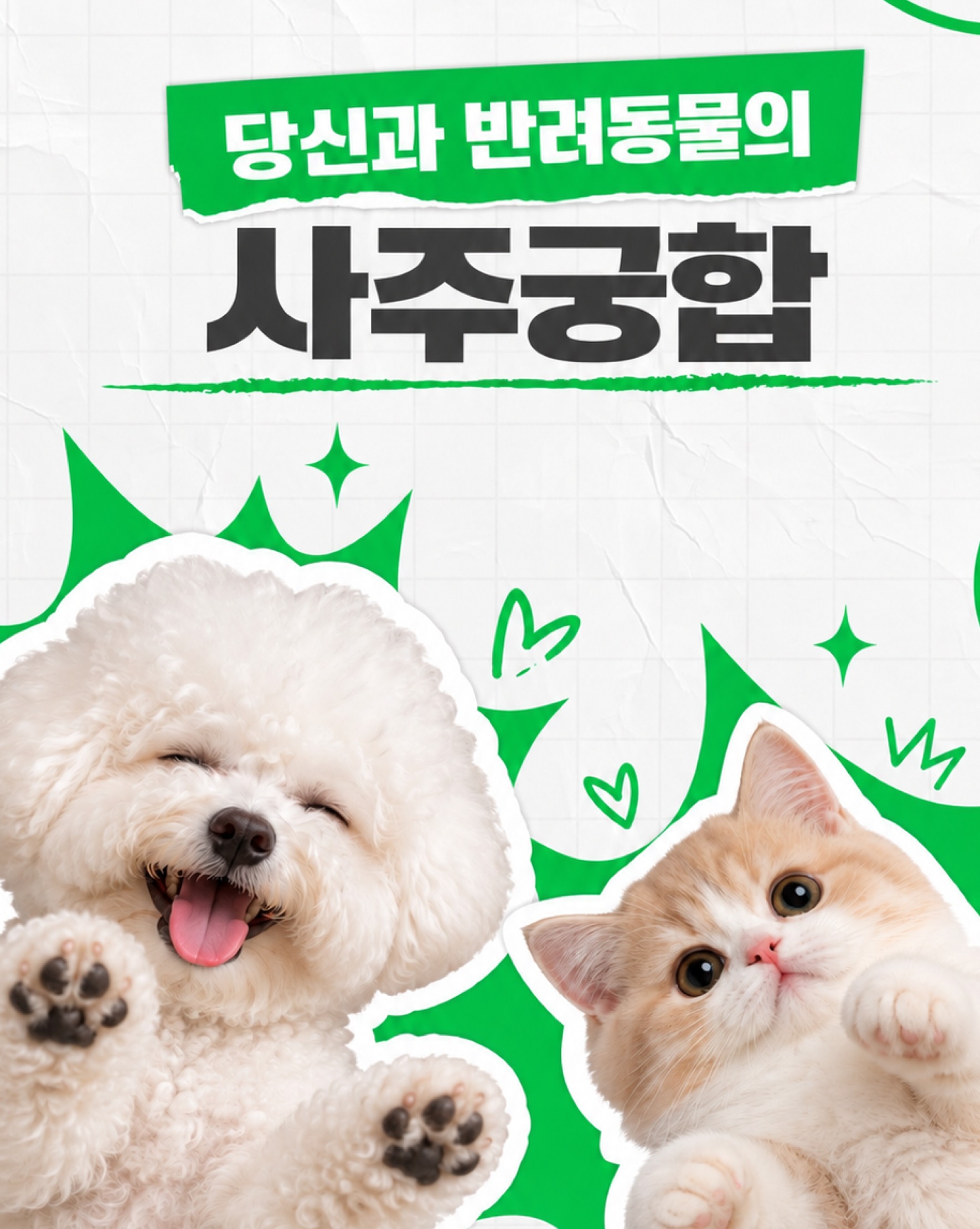 나와 반려동물 궁합